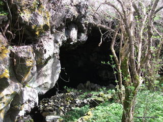 conco di Liricio-24-03-2013 10-34-30